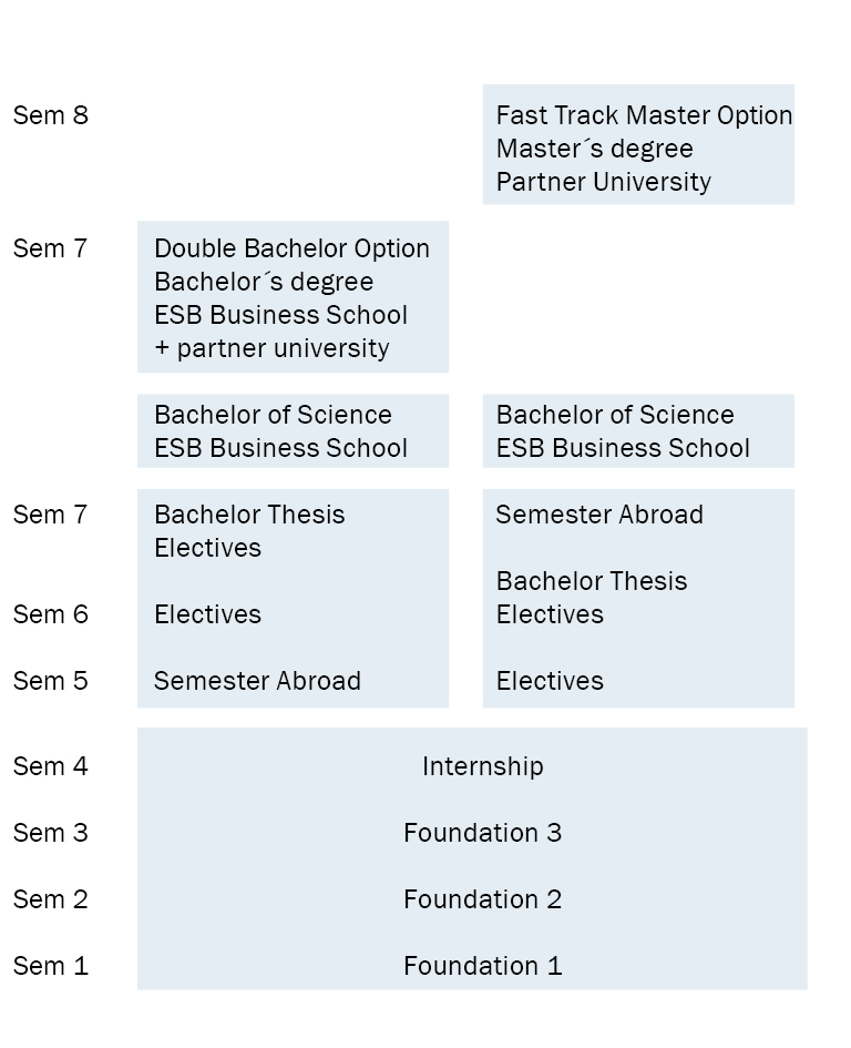 What Are The Differences Between BS And BSc Do Both Means 51 OFF