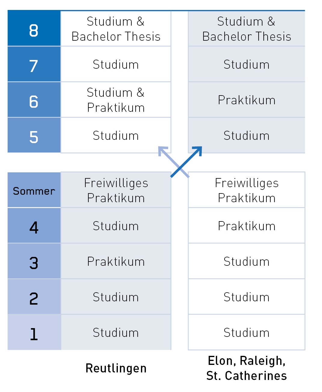 Studienverlauf im Deutsch-Amerikanischen Studienverlauf