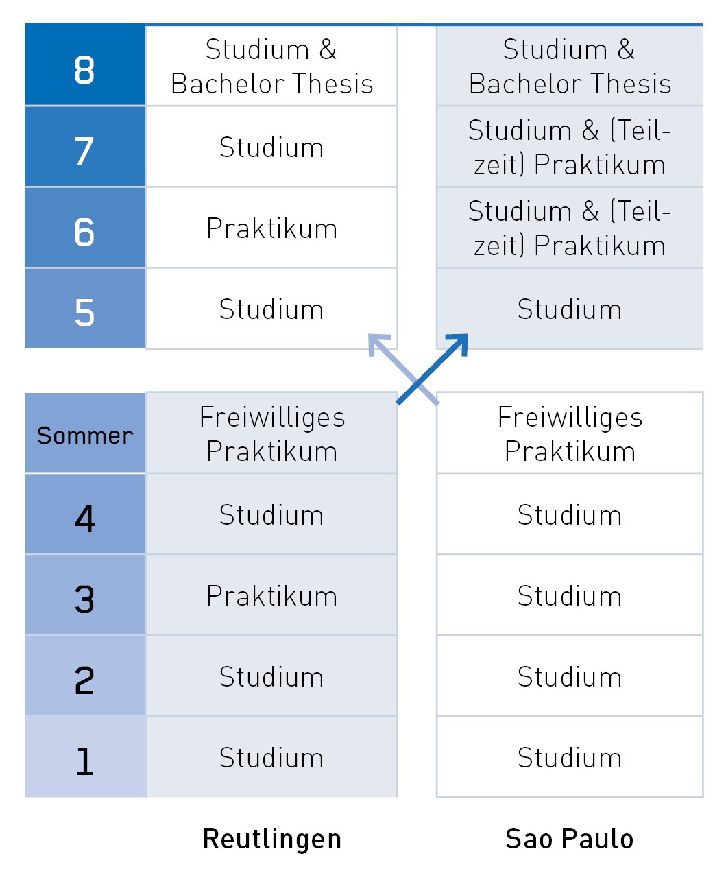 Studienverlauf im Deutsch-Brasilianischen Double Degree