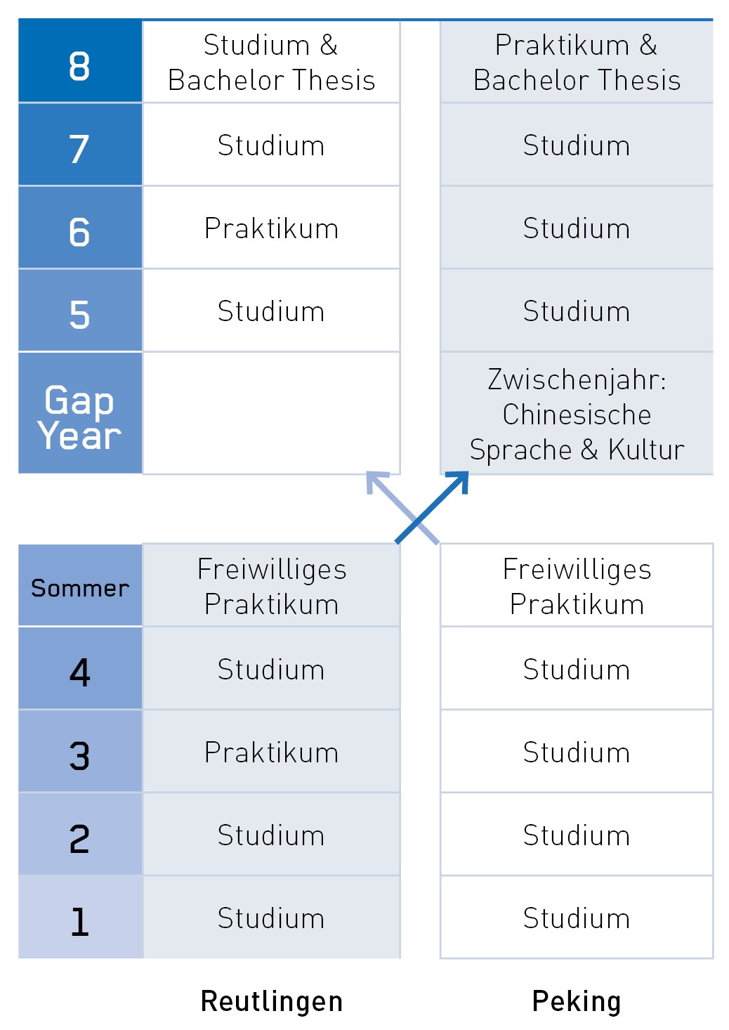 Studienverlauf im Deutsch-Chinesischen Double Degree