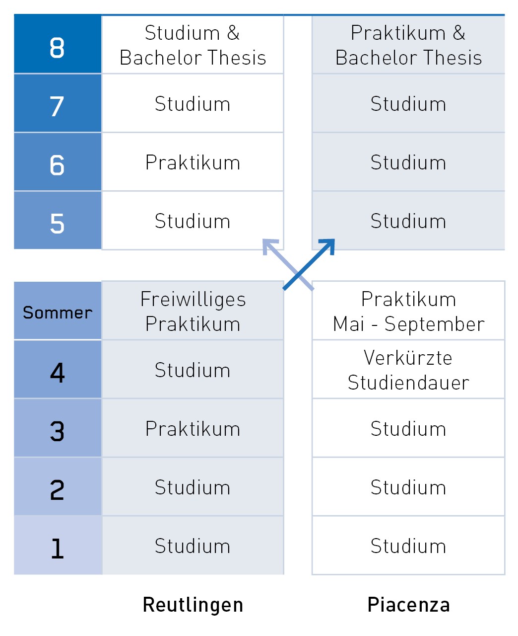 Studienverlauf im deutsch-italienischen Double Degree