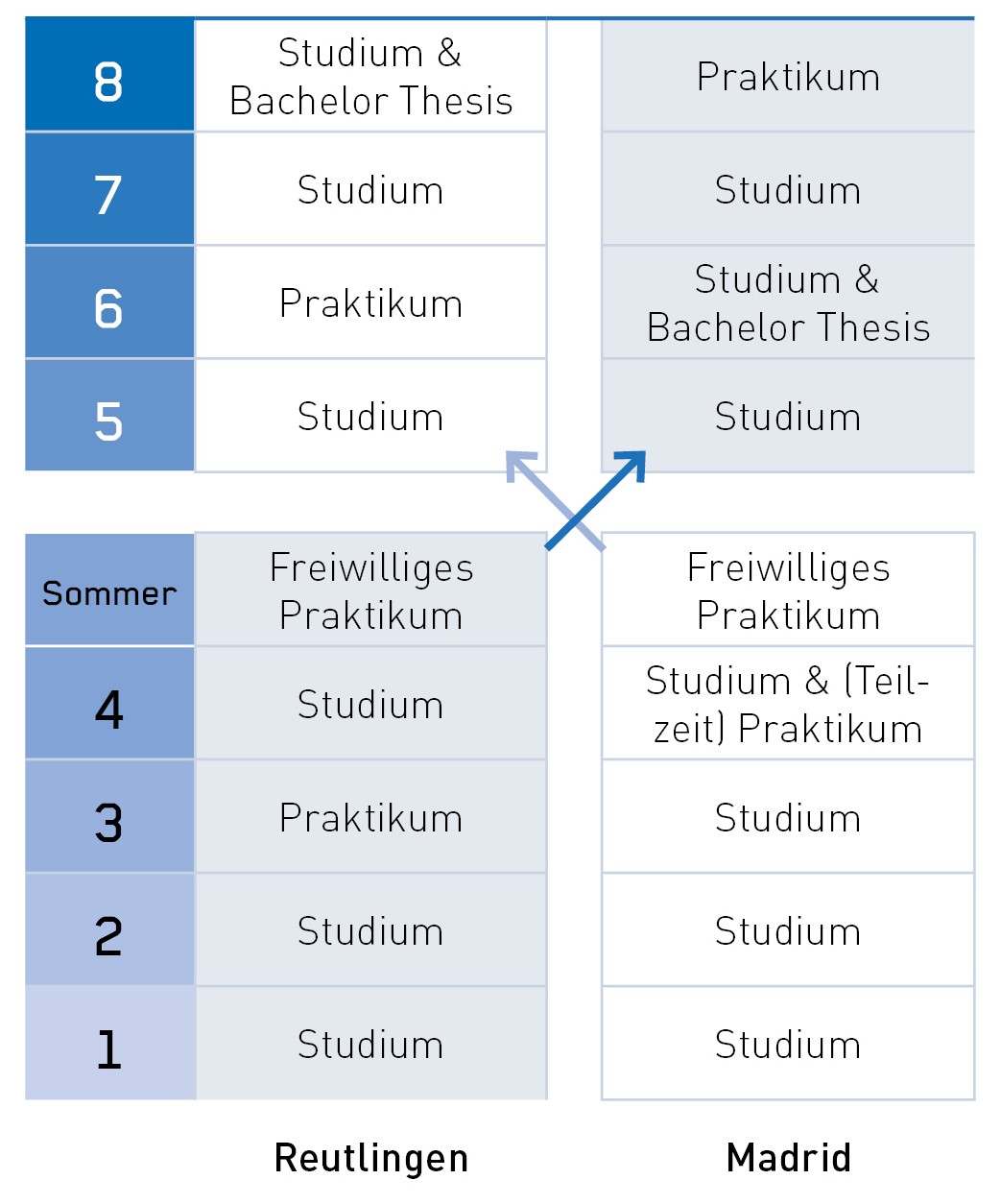 Studienverlauf im Deutsch-Spanischen Double Degree