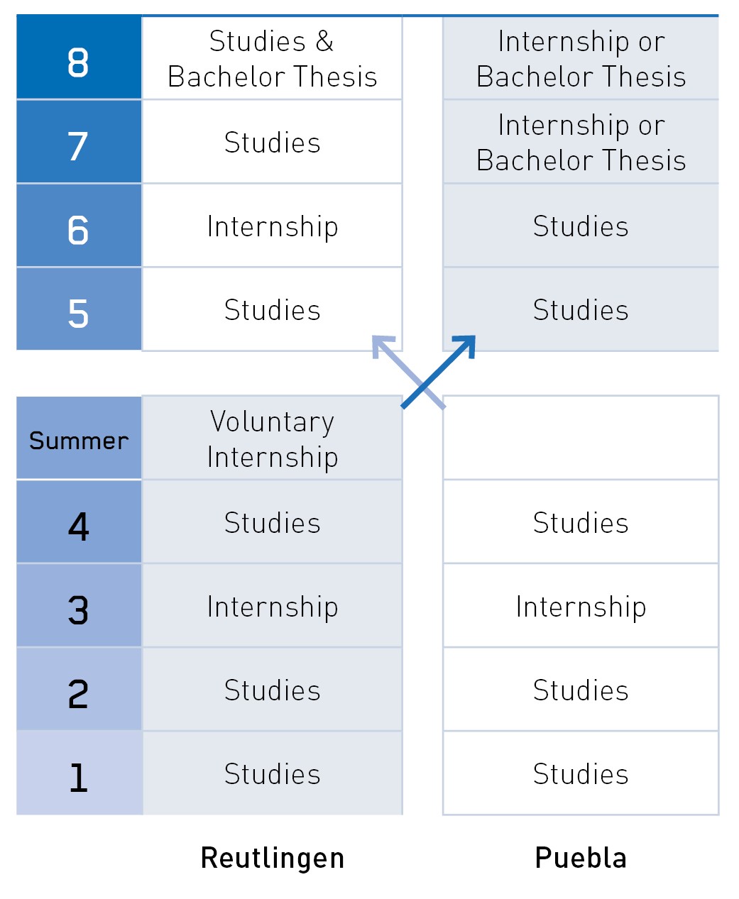 Course options for the German-Mexican Double Degree