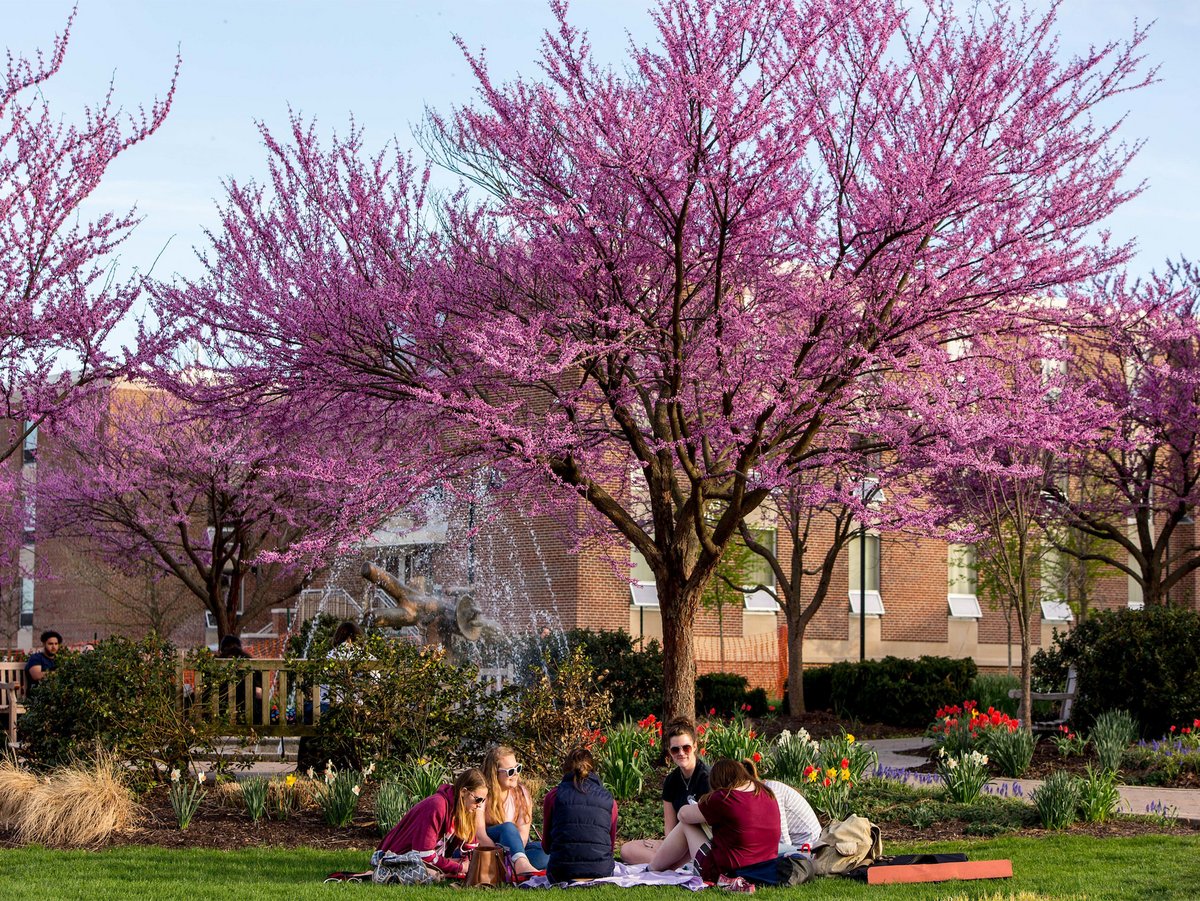 Kutztown University ESB