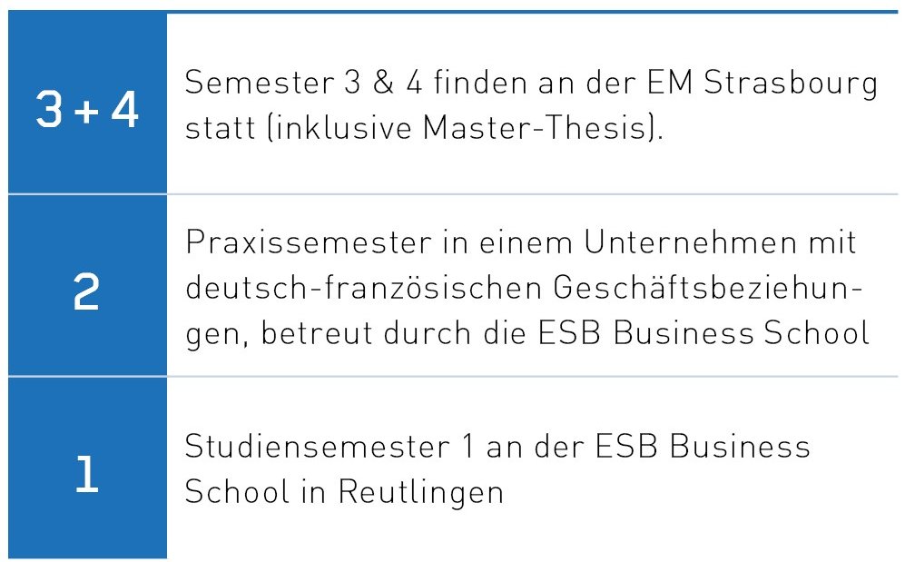 Ablauf des Studiums des MA European Management Studies